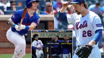 how-the-mets-can-transform-their-outlook-going-into-mlb’s-minefield-offseason