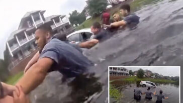 virginia-first-responders-form-human-chain-to-rescue-driver-from-sinking-car-that-crashed-into-pond