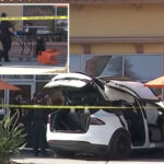 horror-as-tesla-smashes-into-socal-shopping-center-killing-one-and-injuring-six