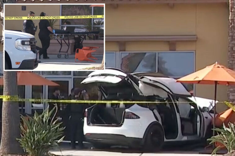 horror-as-tesla-smashes-into-socal-shopping-center-killing-one-and-injuring-six