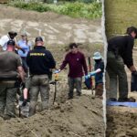 117-dead-dogs-found-at-animal-rescue,-many-with-gunshot-wounds-as-investigators-probe-for-answers