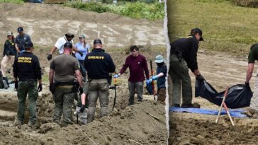 117-dead-dogs-found-at-animal-rescue,-many-with-gunshot-wounds-as-investigators-probe-for-answers