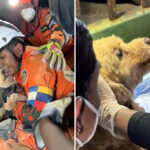 miracle-puppy-rescued-from-venezuela-rubble-after-5-days-as-race-to-find-survivors-intensifies