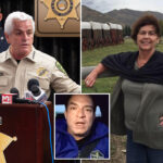 nancy-guthrie-sheriff-turned-down-search-and-rescue-help-in-baffling-decision,-group-claims
