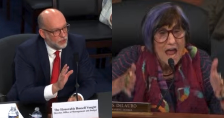 watch:-crazy-purple-haired-rep.-rosa-delauro-loses-it-and-starts-screaming-at-omb-director-russ-vought