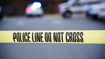beloved-great-granny,-93,-killed-in-nyc-motorcycle-hit-and-run-by-cowardly-rider-who-chillingly-admired-carnage-before-fleeing