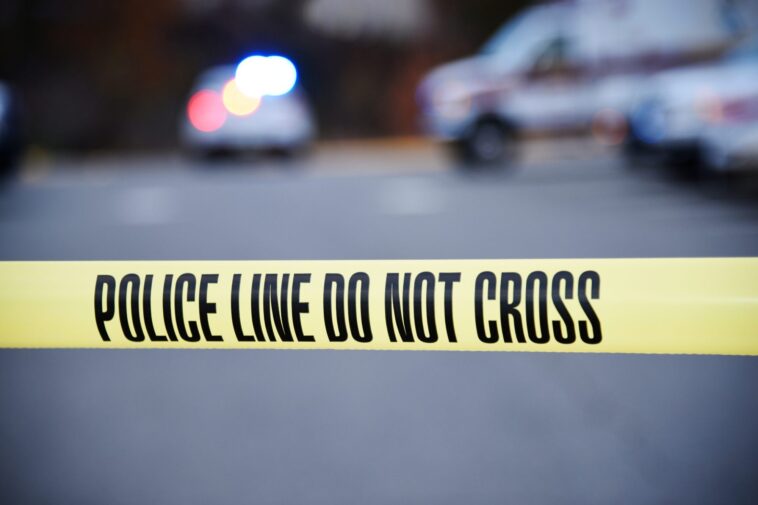 beloved-great-granny,-93,-killed-in-nyc-motorcycle-hit-and-run-by-cowardly-rider-who-chillingly-admired-carnage-before-fleeing