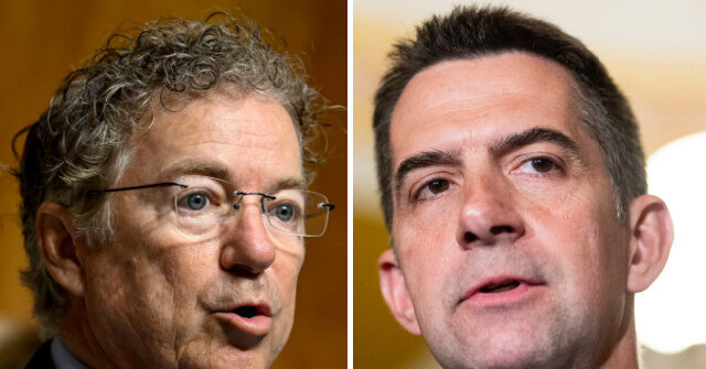 sens.-cotton,-paul-rip-scotus-birthright-citizenship-ruling,-propose-constitutional-amendment-eliminating-it