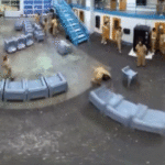 wild-video-shows-inmates-rioting-inside-jail-after-frustrations-over-access-boil-over