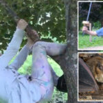 girl,-6,-bit-by-rabid-bat-while-playing-outside-home-—-before-brothers-butcher-it-with-‘braveheart’-sword