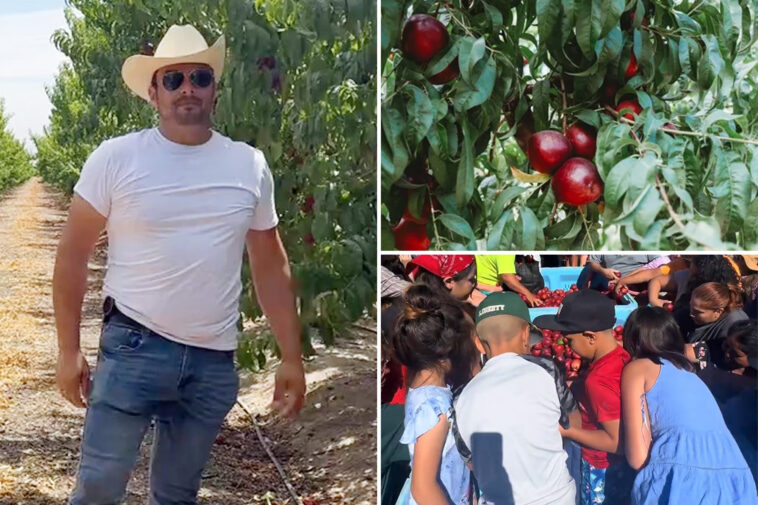 embattled-california-fruit-farmer-gives-away-more-than-125,000-pounds-of-nectarines