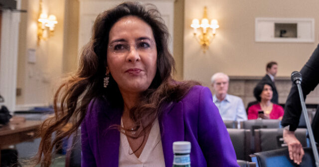 exclusive–harmeet-dhillon:-without-second-amendment-‘people-are-just-sitting-ducks’