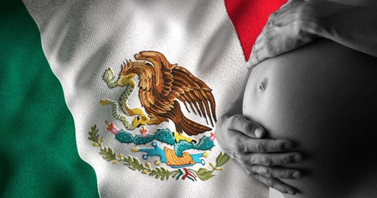 posts-urging-people-to-call-ice-on-pregnant-illegal-aliens-to-prevent-anchor-babies-go-viral-in-the-aftermath-of-scotus-birthright-decision
