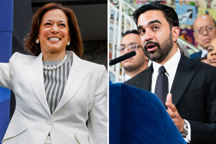 kamala-harris-forms-power-pact-with-nyc-mayor-zohran-mamdani-—-as-their-lengthy-phone-call-emerges