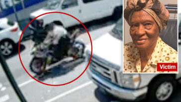 disturbing-video-captures-moment-93-year-old-bronx-granny-is-killed-by-cowardly-hit-and-run-biker