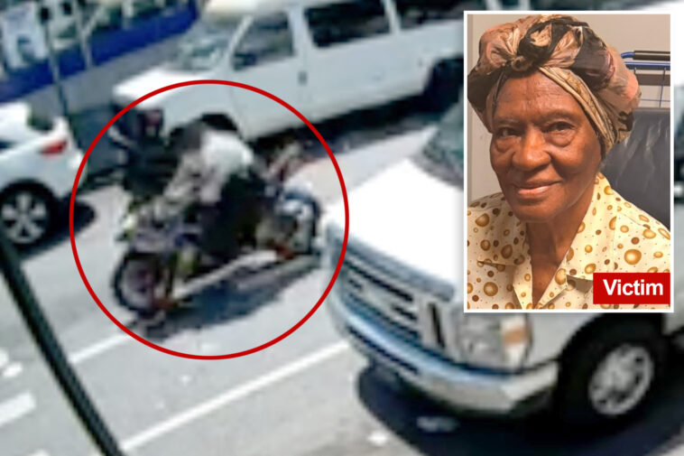 disturbing-video-captures-moment-93-year-old-bronx-granny-is-killed-by-cowardly-hit-and-run-biker