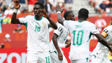 fanatics-sportsbook-promo-code-nypost26:-get-up-to-$1000-matched-in-fancash-for-belgium-vs.-senegal