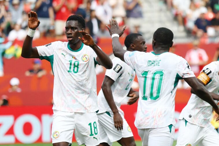 fanatics-sportsbook-promo-code-nypost26:-get-up-to-$1000-matched-in-fancash-for-belgium-vs.-senegal