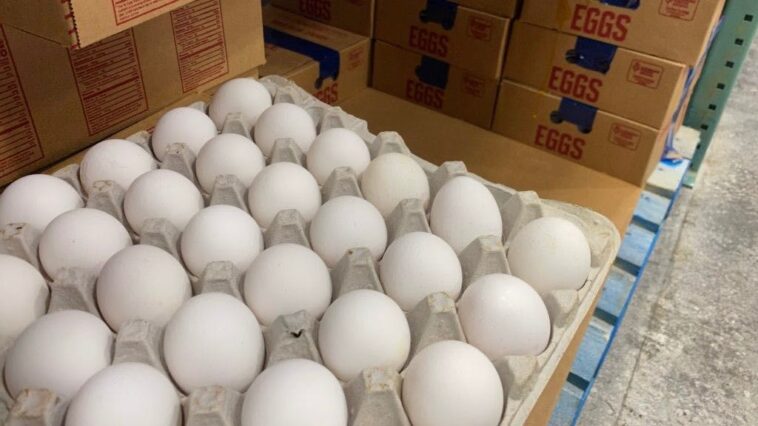 egg-magnates-accused-of-price-fixing-scandal-that-jacked-up-your-grocery-bill