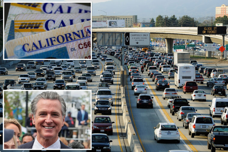 gavin-newsom’s-california-to-share-driver’s-license-data-that-could-expose-illegal-immigrants