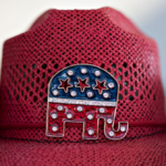 nolte:-gop-leads-in-most-us.-senate-polls-ahead-of-midterm-elections