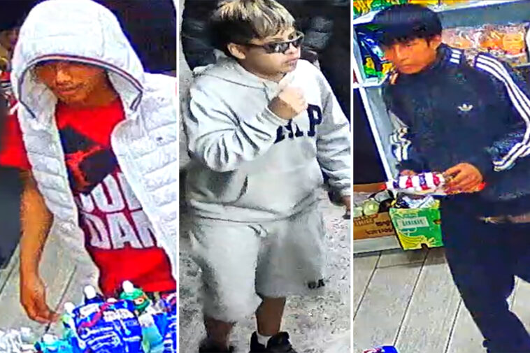 nyc-deli-worker-stabbed-repeatedly-while-trying-to-stop-trio-from-stealing-2-cases-of-modelo-beer