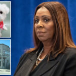 nyc-pet-store-sold-‘hundreds’-of-illegal-puppy-mill-pups-while-posing-as-rescue-center:-suit