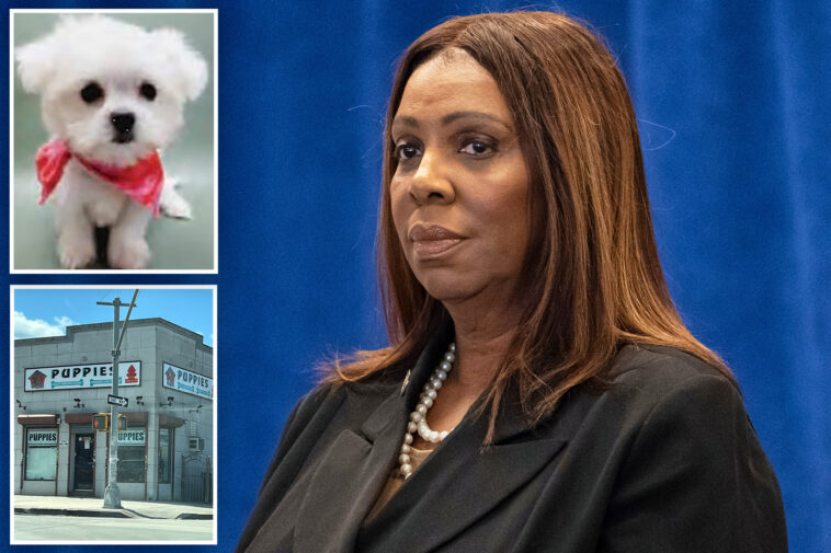 nyc-pet-store-sold-‘hundreds’-of-illegal-puppy-mill-pups-while-posing-as-rescue-center:-suit