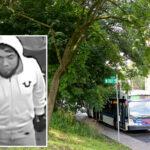 sicko-accused-of-raping-girl,-13,-inside-nyc-park-surrenders-after-seeing-himself-on-wanted-flyer:-cops,-sources