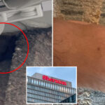 pilot-bitten-by-bat-after-swarm-invades-his-sheraton-hotel-room,-costing-him-over-$100k-for-rabies-shots:-lawsuit