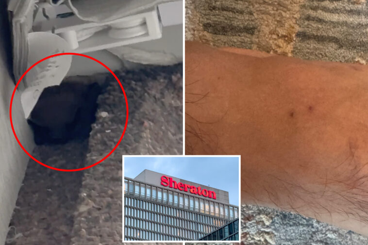pilot-bitten-by-bat-after-swarm-invades-his-sheraton-hotel-room,-costing-him-over-$100k-for-rabies-shots:-lawsuit