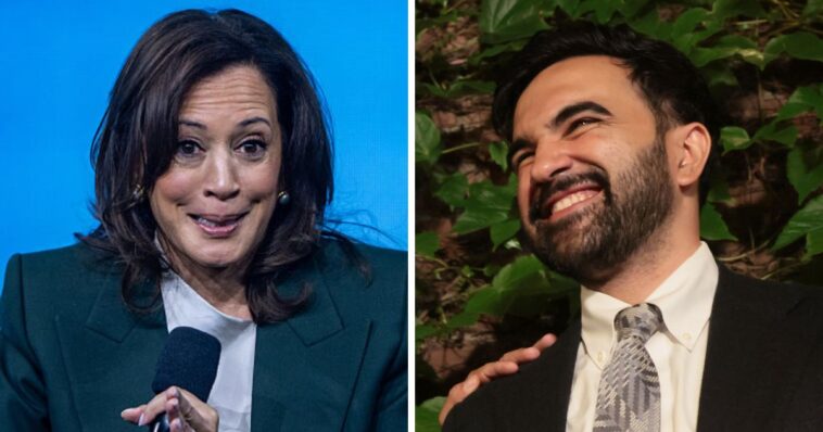 kamala-harris-privately-consulting-with-zohran-mamdani-and-other-radical-leftists-as-she-maneuvers-for-2028:-report