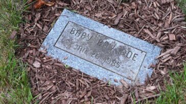 dna-from-soda-bottle-allegedly-links-massachusetts-woman-to-1985-murder-of-‘baby-boy-doe’