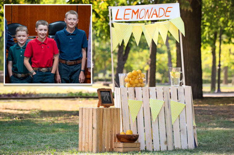 3-young-brothers-were-told-they’d-have-to-pay-$400-to-set-up-a-lemonade-stand-—-they-convinced-lawmakers-to-change-that
