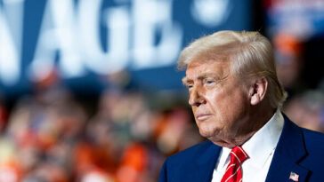trans-dem-rep-says-trump’s-‘they/them’-ad-worked-because-dems-‘remained-silent’