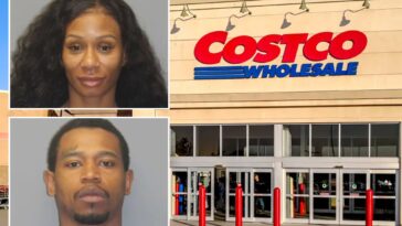 two-new-yorkers-arrested-at-costco-after-alleged-fraudulent-credit-card-shopping-spree