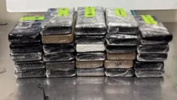 border-agents-uncover-$3.7m-in-cocaine-masquerading-as-a-cucumber-delivery