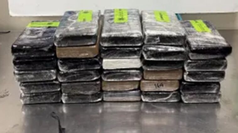 border-agents-uncover-$3.7m-in-cocaine-masquerading-as-a-cucumber-delivery