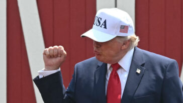 trump-effect:-the-us.-workforce-is-becoming-more-american