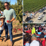 california-fruit-farmers’-free-nectarine-giveaway-shut-down-by-authorities-due-to-huge-crowds