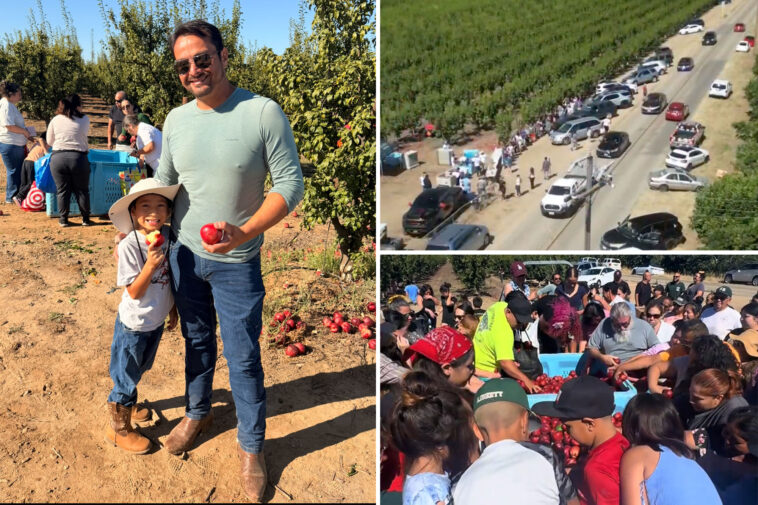 california-fruit-farmers’-free-nectarine-giveaway-shut-down-by-authorities-due-to-huge-crowds