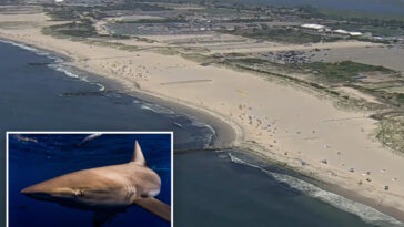 massive-shark-spotted-by-long-island-swimmers-closes-beaches-on-90-plus-degree-day