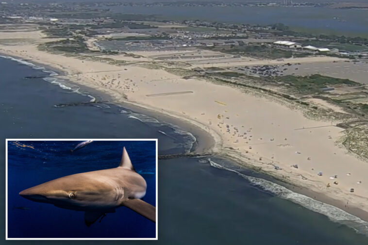 massive-shark-spotted-by-long-island-swimmers-closes-beaches-on-90-plus-degree-day