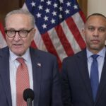 democrats-vow-to-reform-ice-so-it-only-deports-immigrants-who-love-america