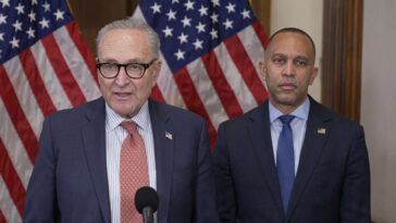 democrats-vow-to-reform-ice-so-it-only-deports-immigrants-who-love-america