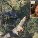 family-of-boy,-8,-killed-by-falling-tree-gets-huge-sum-from-california-city-after-text-messages-emerged