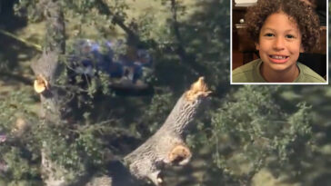family-of-boy,-8,-killed-by-falling-tree-gets-huge-sum-from-california-city-after-text-messages-emerged