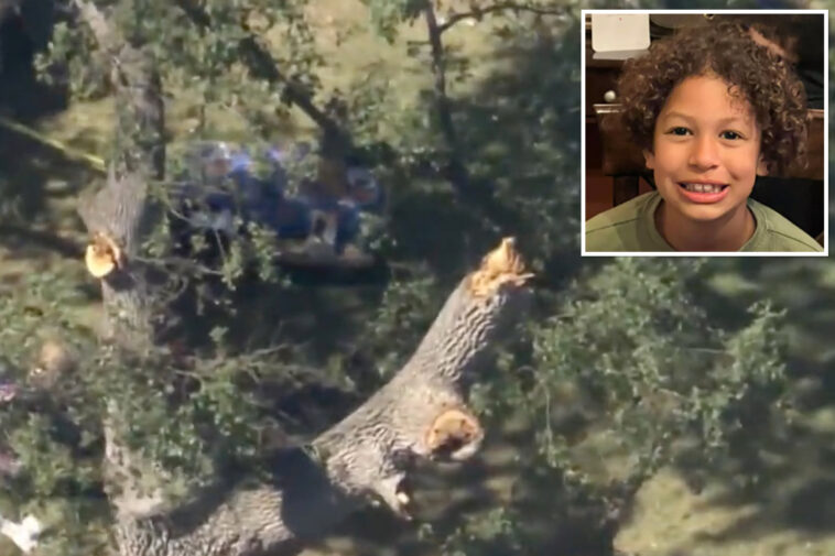 family-of-boy,-8,-killed-by-falling-tree-gets-huge-sum-from-california-city-after-text-messages-emerged