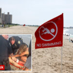 swarm-of-bull-sharks-shut-down-nyc’s-rockaway-beach-during-4th-of-july-weekend-heatwave