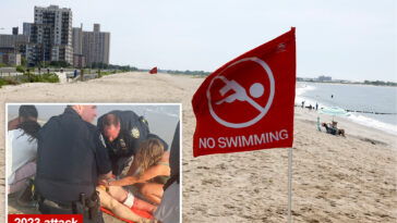 swarm-of-bull-sharks-shut-down-nyc’s-rockaway-beach-during-4th-of-july-weekend-heatwave
